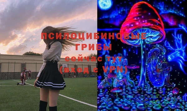 spice Вяземский