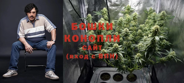 spice Вяземский
